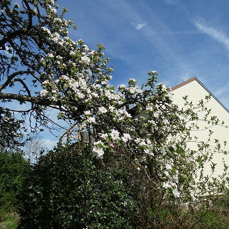 Bed and Breakfast Au Val Des Meuris Taintrux Екстер'єр фото