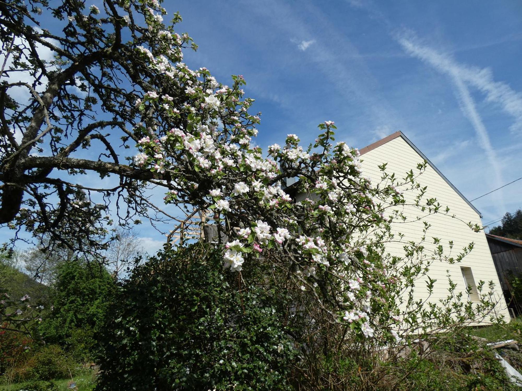 Bed and Breakfast Au Val Des Meuris Taintrux Екстер'єр фото